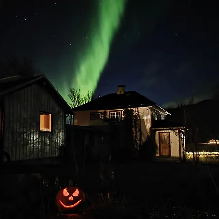 The Northern Lights House Leknes