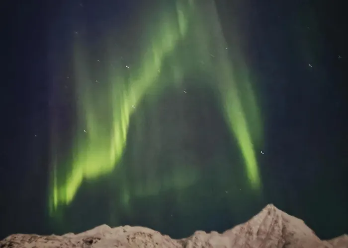 The Northern Lights House Leknes Ferienhaus *